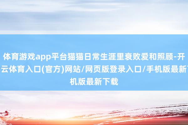 体育游戏app平台猫猫日常生涯里衰败爱和照顾-开yun云体育入口(官方)网站/网页版登录入口/手机版最新下载