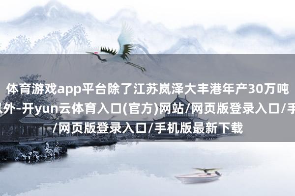 体育游戏app平台除了江苏岚泽大丰港年产30万吨/年绿醇名目以外-开yun云体育入口(官方)网站/网页版登录入口/手机版最新下载