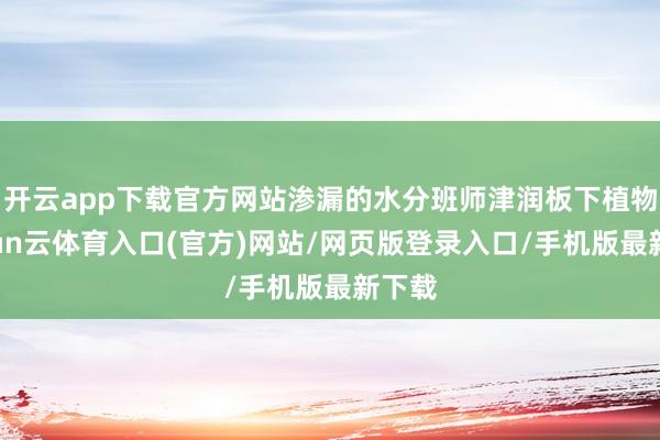 开云app下载官方网站渗漏的水分班师津润板下植物-开yun云体育入口(官方)网站/网页版登录入口/手机版最新下载